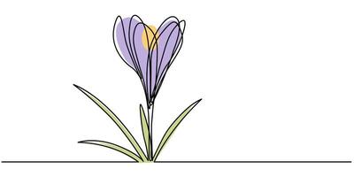 Group of spring crocus flowers in continuous line art drawing vector