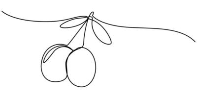 Olives in continuous one line drawing sign vector