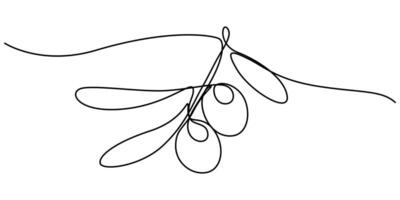 Continuous Line Drawing of Olive Icon vector