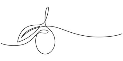 olive in one continuous single line art drawing style vector