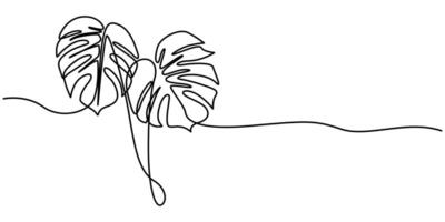 Monstera Leaf Continuous Line Drawing vector