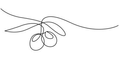 Fresh Olives Continuous Line Editable Stroke Line vector