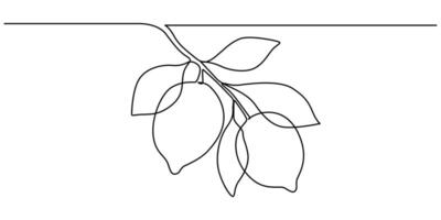 Lemon one line drawing simple abstract minimal style vector