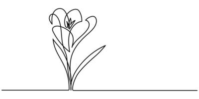 Group of spring crocus flowers in continuous line art vector