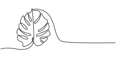 Continuous line drawing of a Monstera isolated vector