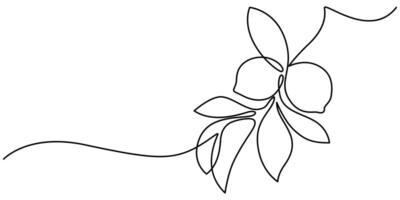Bright lemons on a branch with leaves style continuous line drawing vector