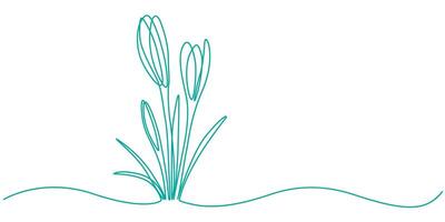 Continuous one line drawing of a snowdrops illustration vector