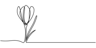 Spring Snowdrop Flower Single Line Drawing vector