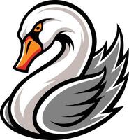 A swan head with a long beak vector