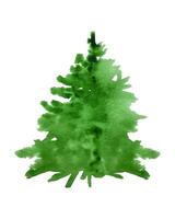 Spruce watercolor tree. Isolated Christmas design element, New Year celebration, cozy weather concept. For packaging, card, invitation vector