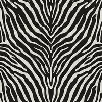 Seamless pattern of black and white zebra stripes vector