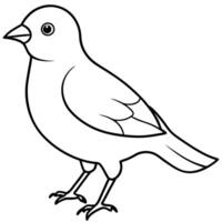 Bird Sketch for Coloring Fun vector