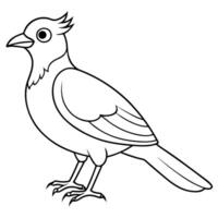 Artistic Bird Design to Color vector