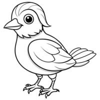 Unique Bird Pattern for Coloring vector