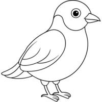 Pretty Bird Shape to Color vector