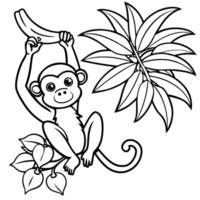 Monkey Swinging Sketch vector
