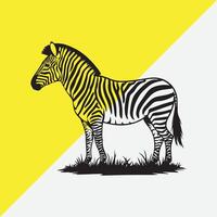a drawing of a zebra that is yellow background. vector