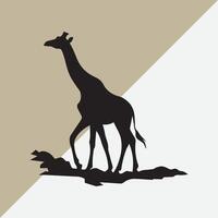 a giraffe with a shadow on it vector