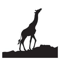 a statue of a giraffe is shown in black and white. vector