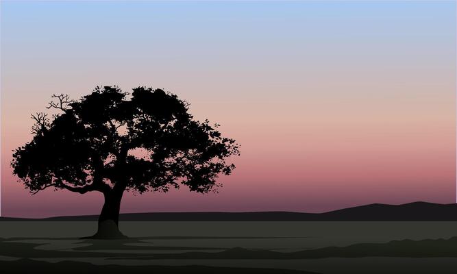 Early morning nature landscape illustration with silhouette of a tree