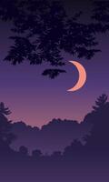 Night in forest. Crescent moon over the trees vector