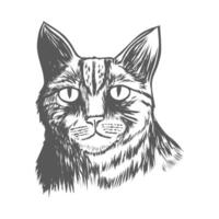 Hand drawn black and white cat face vector