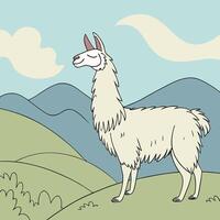 Illustration of a llama standing on a hill vector