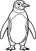 Penguin coloring pages vector
