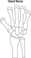 Hand Bone Science Design Line art Illustration Diagram vector