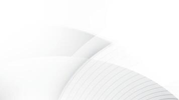 Abstract white and gray color, modern design stripes background with curve lines. illustration. vector