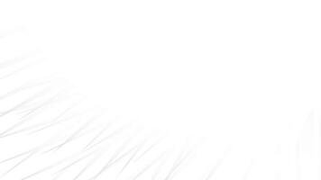 Abstract white and gray color, modern design background. illustration. vector