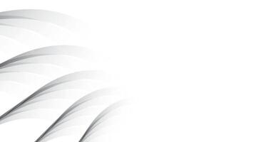 Abstract white and gray color, modern design stripes background with curve lines. illustration. vector