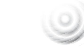 Abstract white and gray color, modern design stripes background with curve lines. illustration. vector
