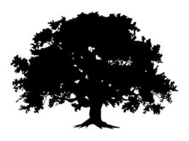 Black Trees and root with leaves look beautiful and refreshing. Tree and roots LOGO style. vector