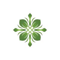 Green Leaf icon and Symbol Template Illustration vector