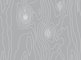 Seamless wooden gray monochrome pattern. Wood grain texture. Dense lines. Abstract white striped background vector