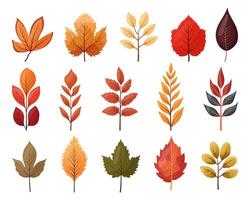A set of autumn colored leaves highlighted vector