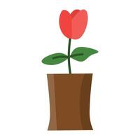 A simple illustration of a red tulip flower with three petals and green leaves in a brown flower pot vector
