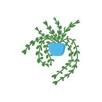 A minimalist illustration of a trailing plant with oval-shaped green leaves in a blue pot. The cascading stems create a lush appearance, making it ideal for decor, nature, and botanical themes vector