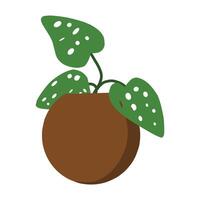 A minimalist illustration of a Monstera plant with three leaves in a brown pot. The plant's distinctive leaf patterns make it perfect for nature, decor, and botanical themes. vector