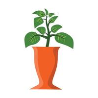 A minimalist illustration of a green plant with several leaves in an orange vase. The vase has a unique, slightly flared shape, enhancing the vibrant look, perfect for decor and botanical themes vector