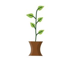 A simple illustration of a potted plant with a green stem and several branches, each bearing green leaves. The brown pot has a slightly curved shape, suitable for educational or decorative purposes. vector