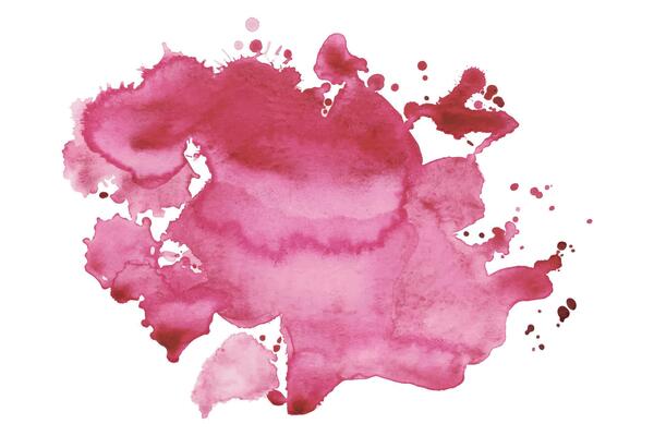 Watercolor Pink Splatter Stain of Paint on White Background. Aquarelle splash with drops stains