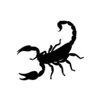 A scorpion is shown in a silhouette on a white background vector