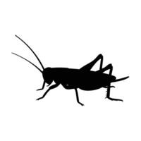 Silhouette of a grasshopper on a white background vector