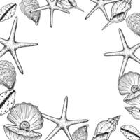 frame with shells, starfish. Hand painted line opened oyster seashell with pearl. Graphic clip art isolated on background. Underwater illustration. For designers, invitations, decoration vector
