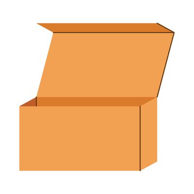 Cardboard Box Flat
