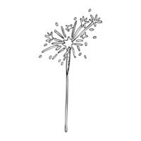Ink bengal light sparkler illustration in simple style for coloring. Hand drawn ink drawing for festive holiday designs vector
