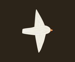 Bird in flat style. Hand drawn illustration. vector