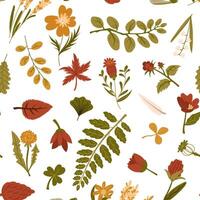 pattern of illustrations of autumn foliage, flowers, feathers made in a flat style. dried leaves and berries of different trees are highlighted in white. Packing with herbarium, dried flowers, storage vector